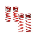 Tanabe NF210 Springs 11 Lexus CT200h