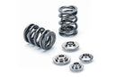 Dual Valve Spring Kit