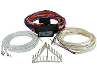 AEM Series 3 Flying Lead Harness