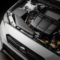 COBB Big SF Intake System-Black