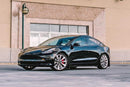 Rally Armor 17+ Tesla Model 3 Black UR Mud Flap - Metallic Black Logo