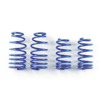 Spoon Sports Progressive Springs for the Honda CR-Z