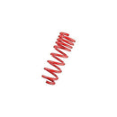 Tanabe DF210 Springs 92-95 Civic Coupe/Sedan