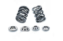 SPT Dual Valve Spring Kits